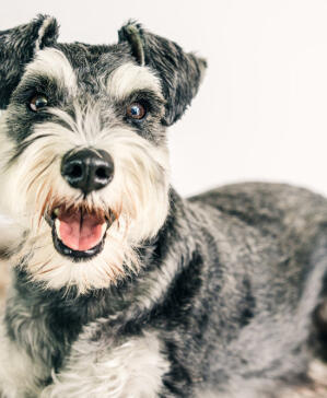 Coffee-powered reader