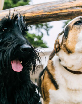 Aisha, Data & Analytics Lead