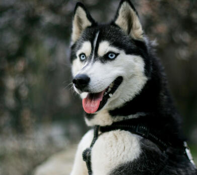 Reply from the community