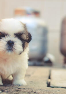 Coffee-powered reader