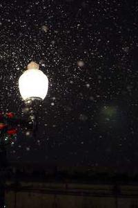 Aisha, Data & Analytics Lead