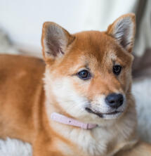 Coffee-powered reader