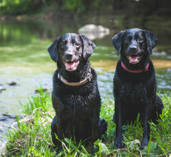 Coffee-powered reader