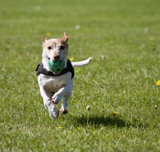 Reply from the community