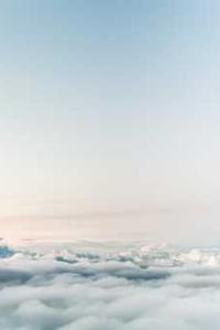 Nora, Technical Team Lead