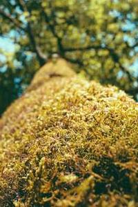 Aisha, Data & Analytics Lead