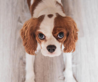 Coffee-powered reader